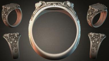 Various jewelry JVLRI_002999 3d model