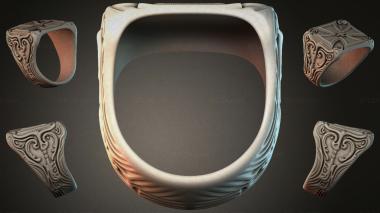 Various jewelry JVLRI_003443 3d model
