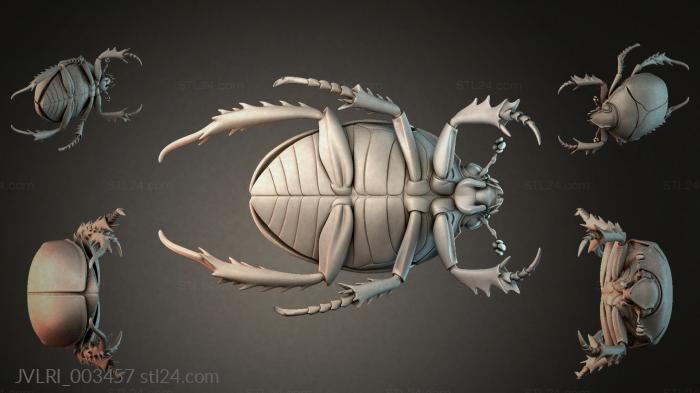 JVLRI_003457 3d STL model