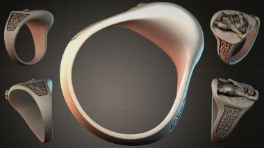 Various jewelry JVLRI_003466 3d model