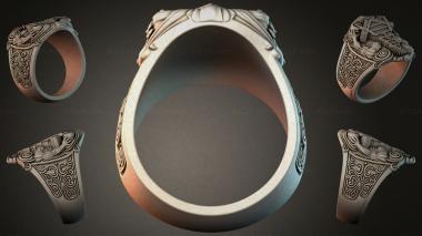 Various jewelry JVLRI_003833 3d model