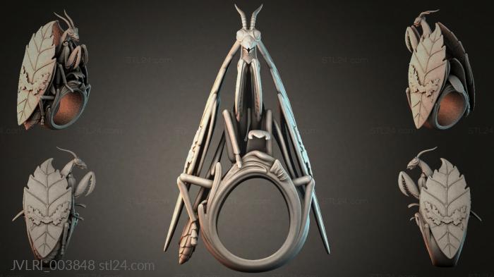 JVLRI_003848 3d STL model
