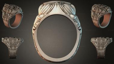 Various jewelry JVLRI_003975 3d model