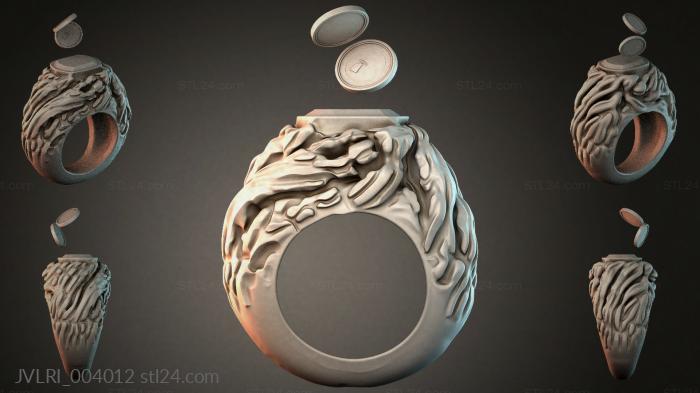 JVLRI_004012 3d STL model