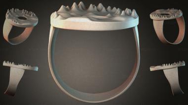 Various jewelry JVLRI_004034 3d model