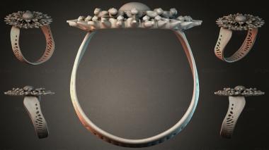 Various jewelry JVLRI_004074 3d model