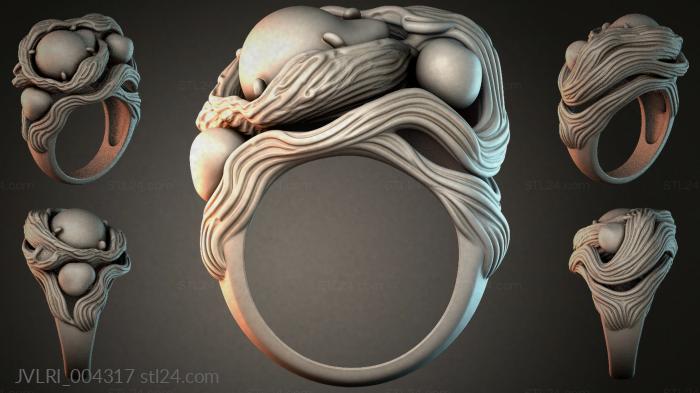 JVLRI_004317 3d STL model