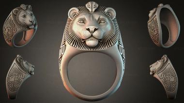 Various jewelry JVLRI_004324 3d model