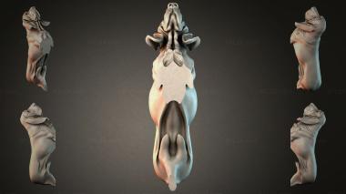 Various jewelry JVLRI_004339 3d model