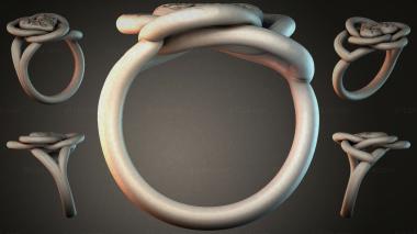 Various jewelry JVLRI_004354 3d model