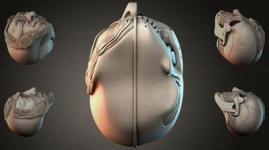 Various jewelry JVLRI_004410 3d model