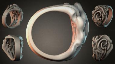 Various jewelry JVLRI_004449 3d model