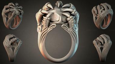 Various jewelry JVLRI_004452 3d model