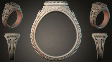 Various jewelry JVLRI_004464 3d model
