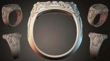Various jewelry JVLRI_004624 3d model