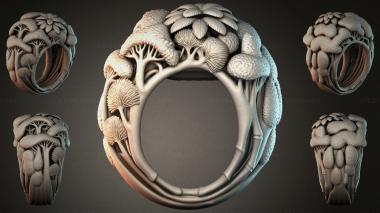 Various jewelry JVLRI_004655 3d model