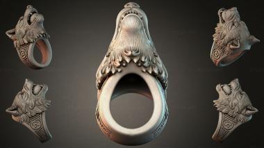 Various jewelry JVLRI_004737 3d model