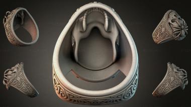 Various jewelry JVLRI_004738 3d model