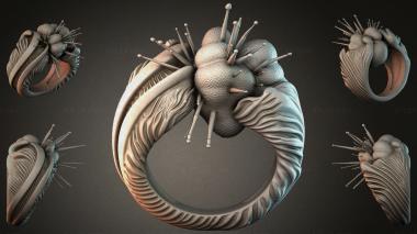 Various jewelry JVLRI_004778 3d model