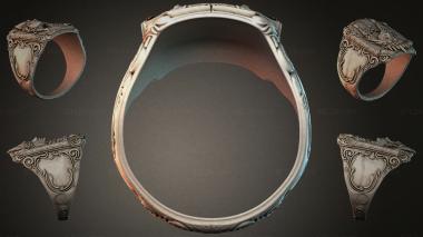 Various jewelry JVLRI_004938 3d model