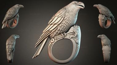 Various jewelry JVLRI_004954 3d model