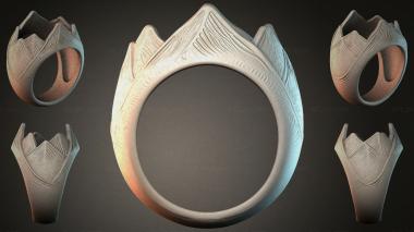 Various jewelry JVLRI_005136 3d model