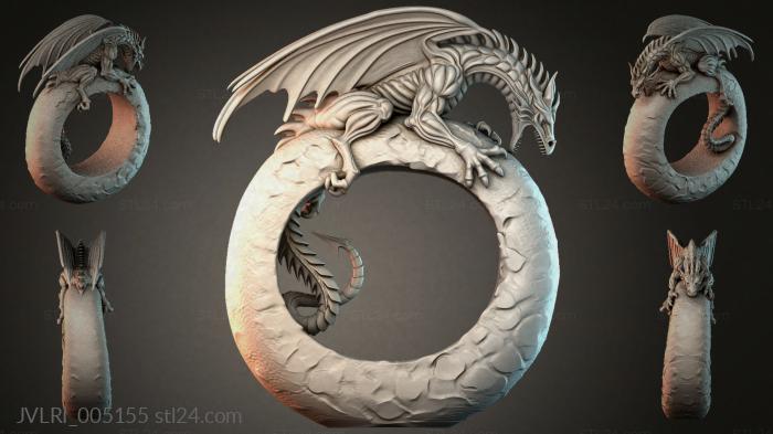 JVLRI_005155 3d STL model