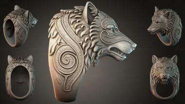 Various jewelry JVLRI_005397 3d model