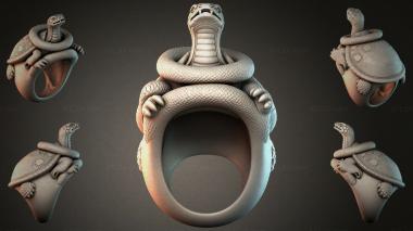 Various jewelry JVLRI_005644 3d model