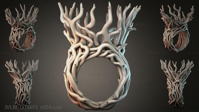 JVLRI_005691 3d STL model