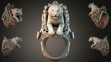 Various jewelry JVLRI_005806 3d model