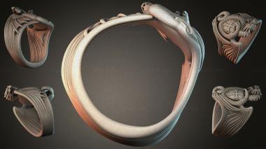 Various jewelry JVLRI_005836 3d model