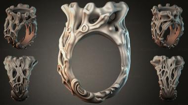 Various jewelry JVLRI_005838 3d model