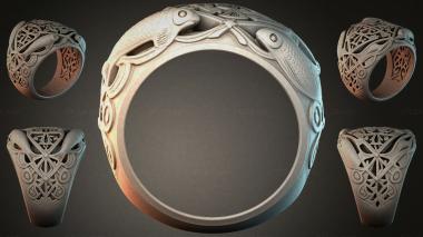 Various jewelry JVLRI_005843 3d model
