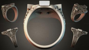 Various jewelry JVLRI_006005 3d model