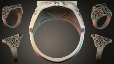 Various jewelry JVLRI_006312 3d model