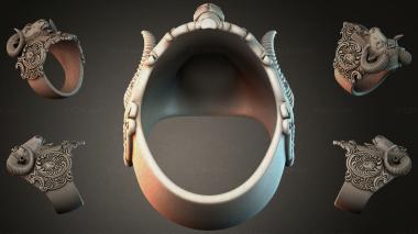 Various jewelry JVLRI_006325 3d model