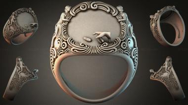 Various jewelry JVLRI_006411 3d model