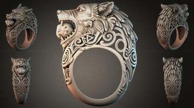 Various jewelry JVLRI_006429 3d model