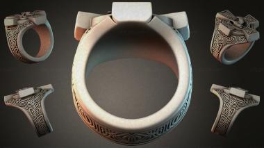 Various jewelry JVLRI_006797 3d model