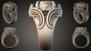 Various jewelry JVLRI_006821 3d model