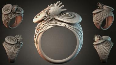 Various jewelry JVLRI_007048 3d model