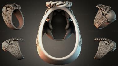 Various jewelry JVLRI_007057 3d model