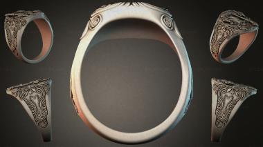 Various jewelry JVLRI_007311 3d model