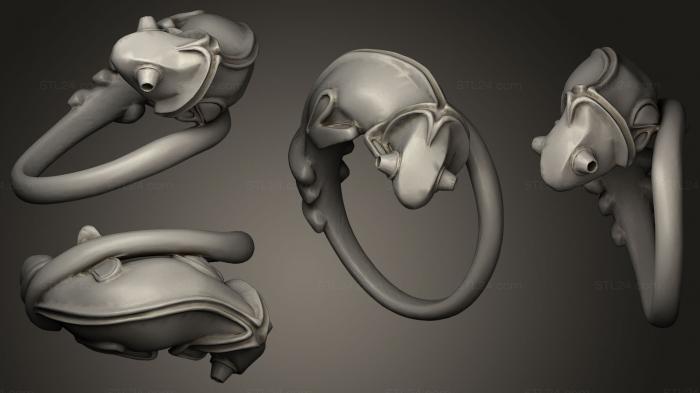 Chameleon ring model based on 3d