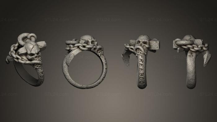 Ювелирные перстни и кольца (Пиратское кольцо беззаконный авантюрист, JVLRP_0026) 3D модель для ЧПУ станка
