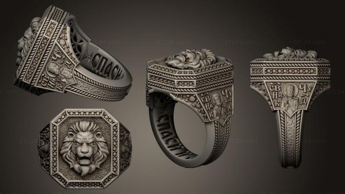 Ювелирные перстни и кольца (Кольцо с печаткой Кольцо Льва 2, JVLRP_0240) 3D модель для ЧПУ станка