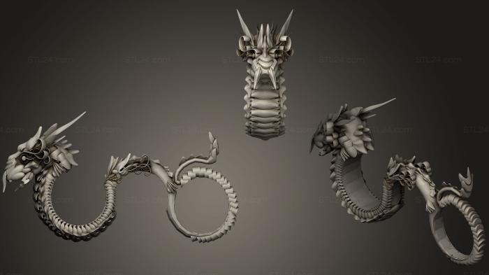 Ювелирные перстни и кольца (Ювелирные изделия [ Дракон, JVLRP_0395) 3D модель для ЧПУ станка