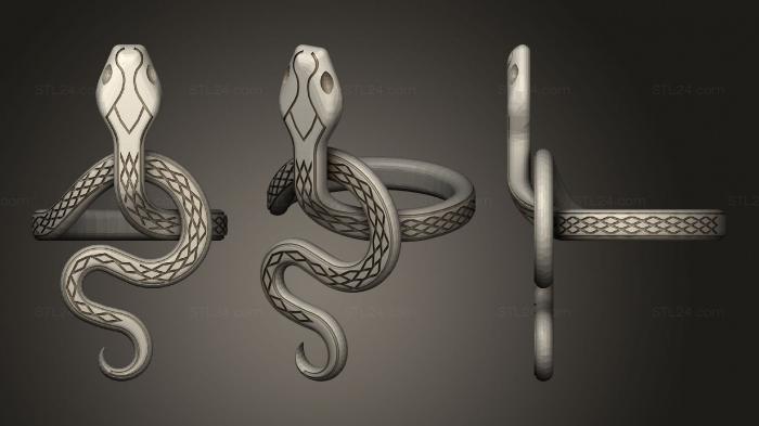 Ювелирные перстни и кольца (Алчное Серебряное Кольцо Со Змеей, JVLRP_0961) 3D модель для ЧПУ станка