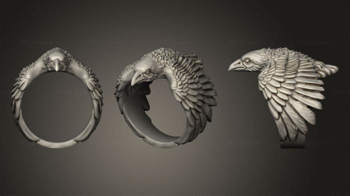 Jewelry rings (Ravens eye ring jewellery 3d, JVLRP_0992) 3D models for cnc